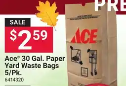Ace Hardware Ace 30 Gal. Paper Yard Waste Bags 5/Pk offer
