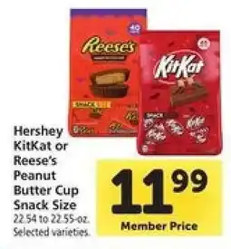 Safeway Hershey KitKat or Reese's Peanut Butter Cup Snack Size offer