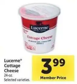 Safeway Lucerne Cottage Cheese offer