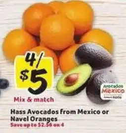 Winn Dixie Hass Avocados from Mexico or Navel Oranges offer