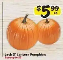 Winn Dixie Jack-O-Lantern Pumpkins offer