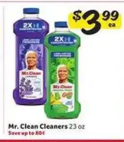 Winn Dixie Mr. Clean Cleaners offer