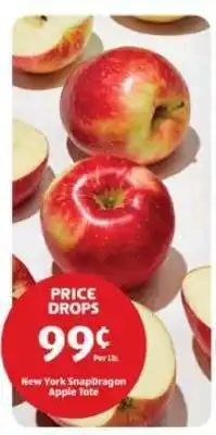 Aldi New York SnapDragon Apple Tote offer
