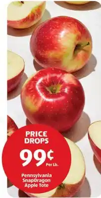 Aldi Pennsylvania SnapDragon Apple Tote offer