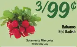 El Super Red Radish offer