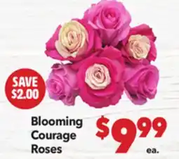 Vallarta Supermarkets Blooming Courage Roses offer