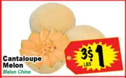 Superior Grocers Cantaloupe Melon offer