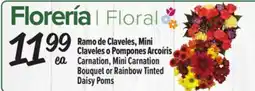 El Super Fresh Carnation, Mini Carnation Bouquet or Rainbow Tinted Daisy Poms offer