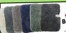 Ollie's CANNON BATH RUG offer