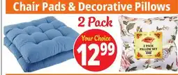 Ocean State Job Lot Chair Pads & Decorative Pillows offer