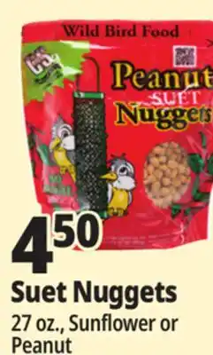 Ocean State Job Lot C&S Sunflower Suet Nuggets 27 oz offer