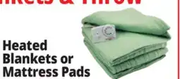 Ocean State Job Lot Westerly Twin Micromink Heated Blanket offer