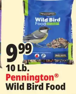 Ocean State Job Lot Pennington Wild Bird Food 10 lbs offer