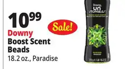 Ocean State Job Lot Downy Boost Scent Beads offer