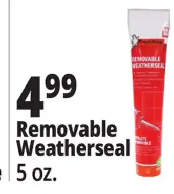 Ocean State Job Lot Removable Weatherseal offer