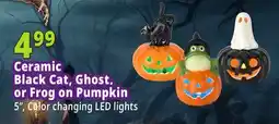 Ocean State Job Lot Black Cat On Pumpkin LED Ceramic offer