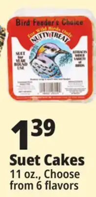 Ocean State Job Lot Bird Feeder's Choice High Energy Suet 11 oz offer