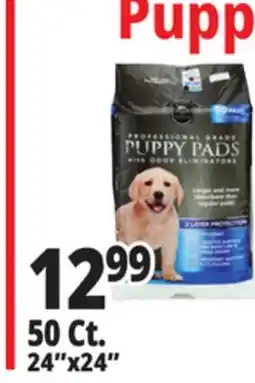 Ocean State Job Lot 24x24 Puppy Pads with Odor Eliminators 50 Count offer