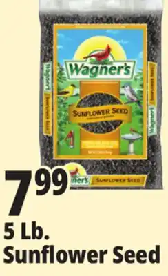 Ocean State Job Lot Wagner's Black Oil Sunflower Seed Wild Bird Food 5 lbs offer