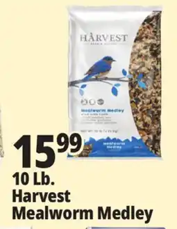 Ocean State Job Lot Harvest Seed & Supply Mealworm Medley Wild Bird Food 10 lb offer