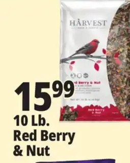 Ocean State Job Lot Harvest Seed & Supply Red Berry & Nut Wild Bird Food 10 lb offer