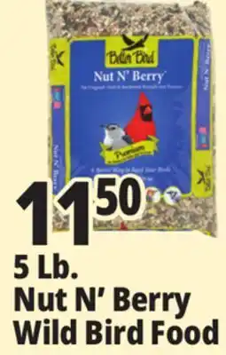 Ocean State Job Lot Better Bird Premium Nut N' Berry Bird Food 5 lbs offer