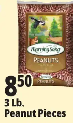 Ocean State Job Lot Morning Song Wildlife Food Peanuts 3 lbs offer