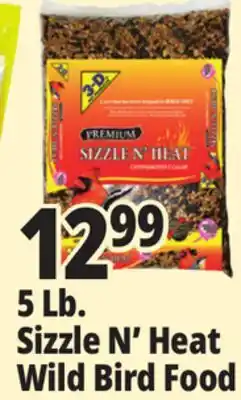 Ocean State Job Lot Better Bird Sizzle N' Heat Premium Wild Bird Food 5 lbs offer