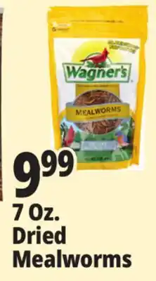 Ocean State Job Lot Wagner's Bird Meal Worms 7oz offer