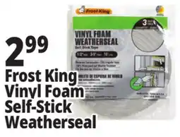 Ocean State Job Lot Frost King Vinyl Foam Self-Stick Weatherseal offer