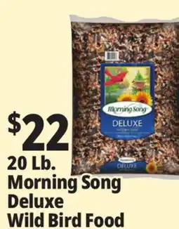 Ocean State Job Lot Morning Song Deluxe Wild Bird Food 20 lbs offer