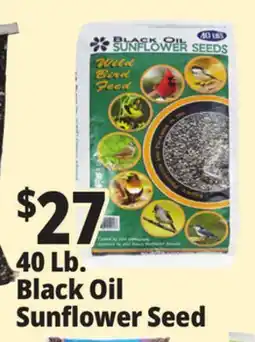 Ocean State Job Lot Black Oil Sunflower Seeds 40 lbs offer