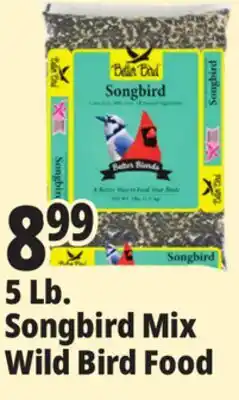 Ocean State Job Lot Better Bird Songbird Better Blends Food 5 lbs offer