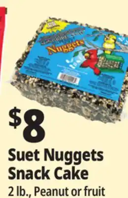 Ocean State Job Lot Suet Nuggets Snack Cake offer