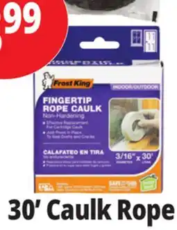 Ocean State Job Lot Frost King Indoor/Outdoor Fingertip Rope Caulk 3/16 x 30' offer
