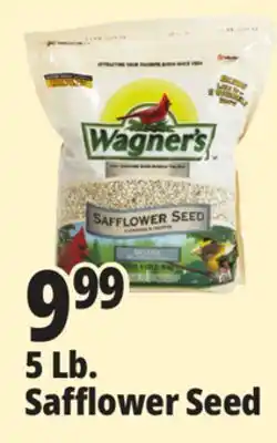 Ocean State Job Lot Wagner's Safflower Seed Deluxe Wild Bird Food offer