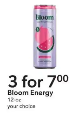 Publix Bloom Energy offer
