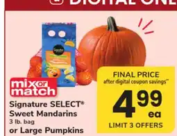 ACME Signature SELECT Sweet Mandarins 3 lb. bag or Large Pumpkins offer