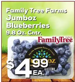 DeCicco & Sons Family Tree Farms Jumboz Blueberries offer