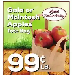 DeCicco & Sons Gala or McIntosh Apples Tote Bag offer