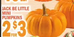C Town JACK BE LITTLE MINI PUMPKINS offer