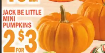 C Town JACK BE LITTLE MINI PUMPKINS offer