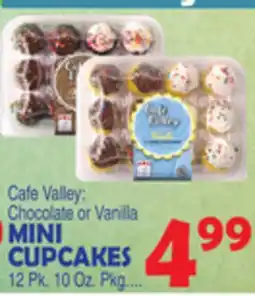 Bravo Supermarkets MINI CUPCAKES offer