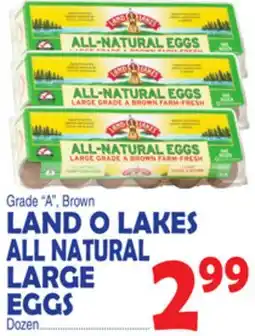 Bravo Supermarkets LAND O LAKES ALL NATURAL LARGE EGGS offer