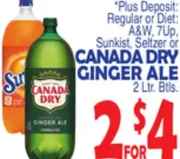 Bravo Supermarkets CANADA DRY GINGER ALE offer