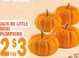 Bravo Supermarkets JACK BE-LITTLE MINI PUMPKINS offer