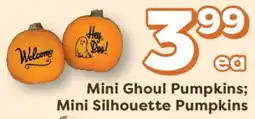 Weis Markets Mini Ghoul Pumpkins Mini Silhouette Pumpkins offer