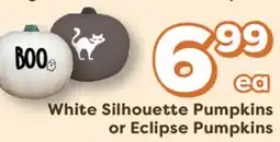 Weis Markets White Silhouette Pumpkins or Eclipse Pumpkins offer