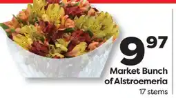 Weis Markets Market Bunch of Alstroemeria offer