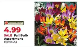 Runnings Fall Bulb Assortment offer